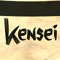 Kensei (Verbaal Verzet)