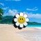 Sunny