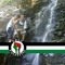 Anoar Jaber