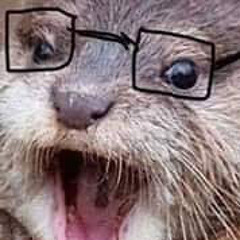 Otterpockett