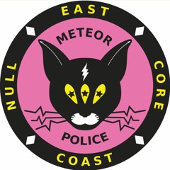 Meteor Police