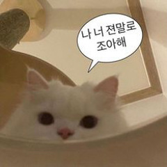 밍승맹승