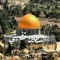 منال الجارحي