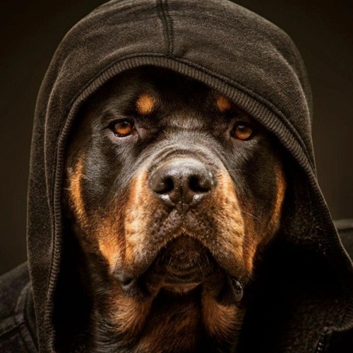 001. Hraach - Aurores (Original Mix).mp3