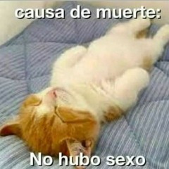 Edwardpalito10