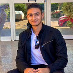 Ahmed Waled