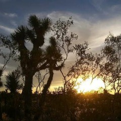~i4NG3L~ Music