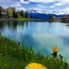 اسلام صبحي-سورة يوسف