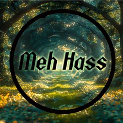 Meh.hass