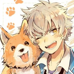 Shiba2303