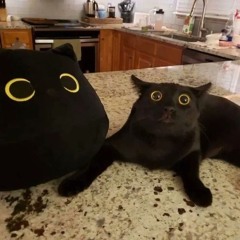 KimKhoa