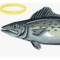Fishman