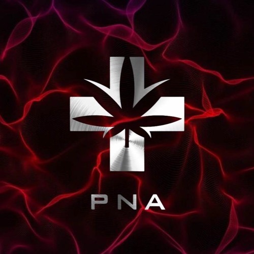 PNA DJ’s avatar