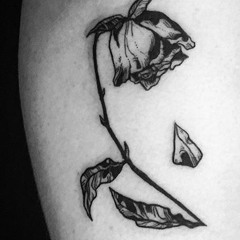Samantha Maxey