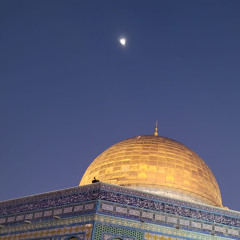 Nesma Hdeib