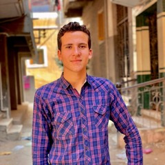 Mohmed Abd Elghamry
