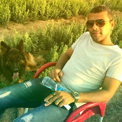 shawky Elsafy