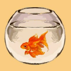 Goldfish Yearbook