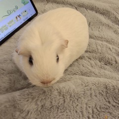 🤍🩹🛹Cr4ziecutie🦀🍀🍙