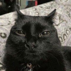 Ezi