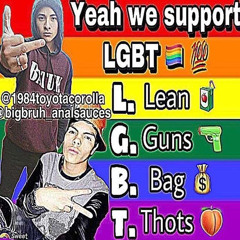 LBGT STUUPID