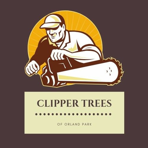Clipper Tree Service’s avatar
