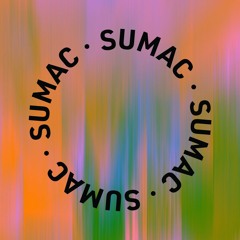 Felinto + Sarine + Luiz Viola - LIVE at SUMAC
