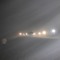 Midnight Morning