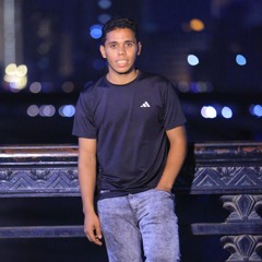 youssef Hussien