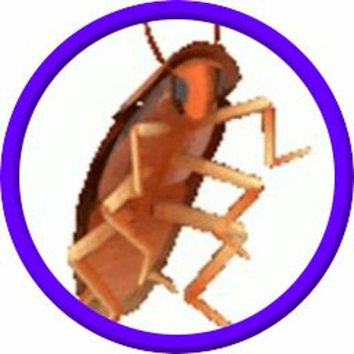 roach’s avatar