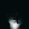 m011y_gir1