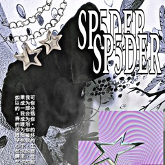 SP5DRR7
