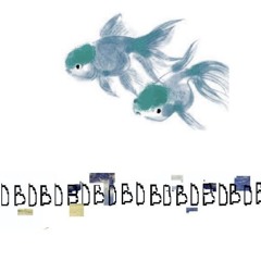 litepurB;D