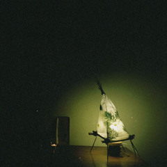 Đan
