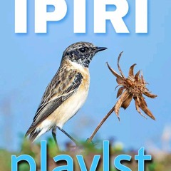 IPIRI PLAYLST