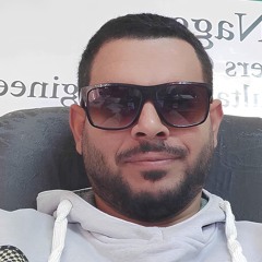 Mohamed A.Hamama