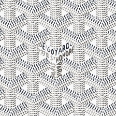 راشد الشامسي