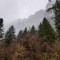 jmt0bi24