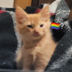 Fluffy