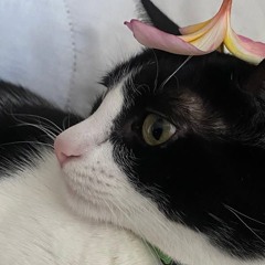 Marwaaa