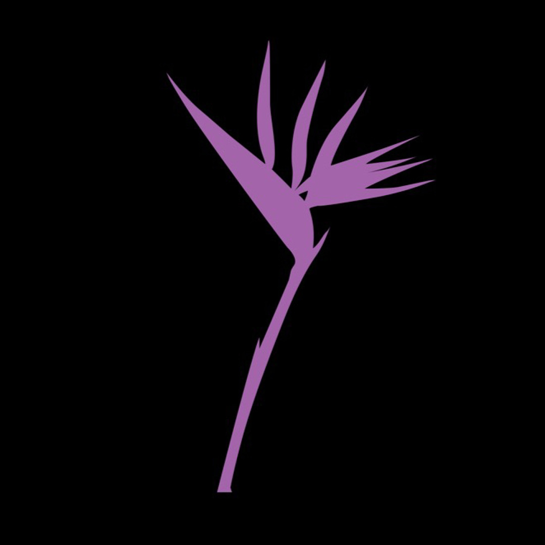 500x500.jpg