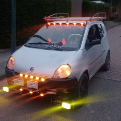 bolle_bert