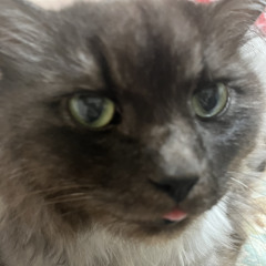 Lena