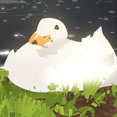 dump
