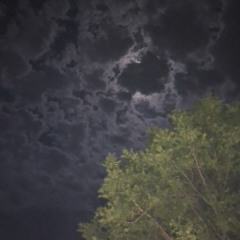 płâÿbøy tãççś