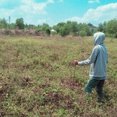 daos