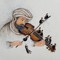 Karar Sattar