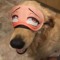 Doggo