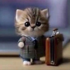 миша анимешник