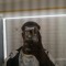 GuimoZ